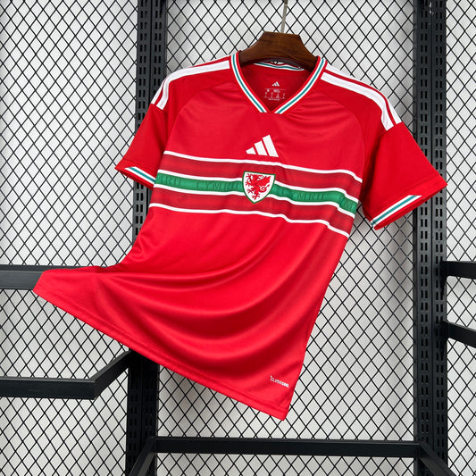 Maillot Domicile Pays de Galles Coupe du Monde 2026